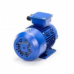 Электродвигатель 5АИ 56 В2 0,25/3000 IM1081