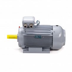 Электродвигатель ESQ PR 100 LA2-SDN-Б1-S12-IE2 3/3000 IMB3