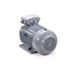 Электродвигатель ESQ PR 100 LA2-SDN-Б1-S12-IE2 3/3000 IMB3