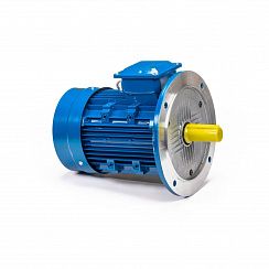 Электродвигатель 5АИ 100 S4 3/1500 IM3081