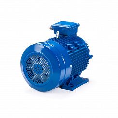 Электродвигатель ESQ 100 LA8-SDN- 0,75/750 IMB34
