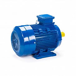 Электродвигатель ESQ 112 MB6-SDN- 3/1000 IMB34