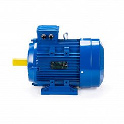 Электродвигатель ESQ 100 LA8-SDN- 0,75/750 IMB34
