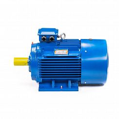 Электродвигатель 5АИ 200 L2 45/3000 IM1001