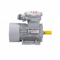 Электродвигатель АИМУР 250 S2 У2,5 380/660В, класс изоляции Н, PBExdI Mb, РТС (статор), подшипники SKF, 76/3000 IM1001