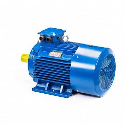 Электродвигатель 5АИ 200 L2 45/3000 IM1001