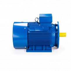 Электродвигатель ESQ 180 L4-SDN- 22/1500 IMB35