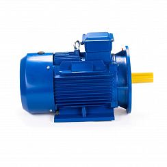 Электродвигатель ESQ 100 LB2-SDN- 4/3000 IMB35