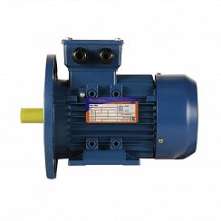 Электродвигатель 5АИ 90 L6 1,5/1000 IM2081