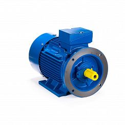 Электродвигатель ESQ 180 L4-SDN- 22/1500 IMB35
