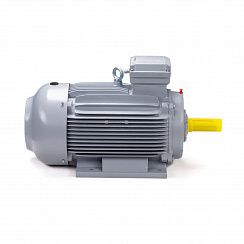 Электродвигатель ESQ PR 100 LA2-SDN-Б1-S12-IE2 3/3000 IMB3