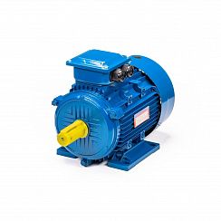 Электродвигатель 5АИ 100 S2 4/3000 IM1081