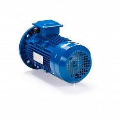 Электродвигатель ESQ 71 C4-SDN- 0,55/1500 IMB5