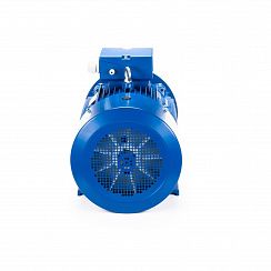 Электродвигатель ESQ 180 L4-SDN- 22/1500 IMB35