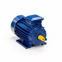 Электродвигатель 5АИ 63 А2 0,37/3000 IM1081
