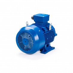 Электродвигатель ESQ 250 M4-SDN- 55/1500 IMB3