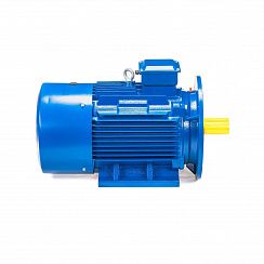 Электродвигатель 5АИ 180 М2 30/3000 IM2001