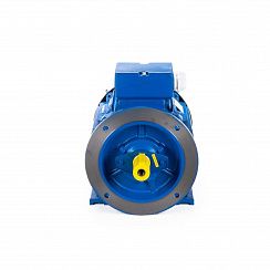 Электродвигатель ESQ 180 L4-SDN- 22/1500 IMB35