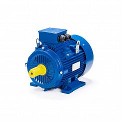 Электродвигатель ESQ 250 M4-SDN- 55/1500 IMB3