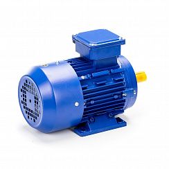 Электродвигатель 5АИ 56 В2 0,25/3000 IM1081