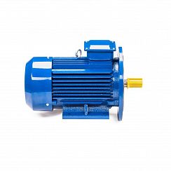 Электродвигатель 5АИ 112 МА6 3/1000 IM2081