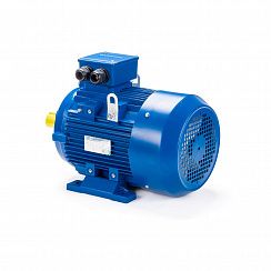 Электродвигатель ESQ 180 M2-SDN- 22/3000 IMB3