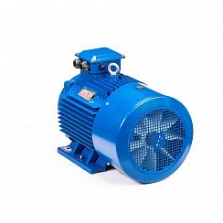 Электродвигатель 5АИ 200 L2 45/3000 IM1001