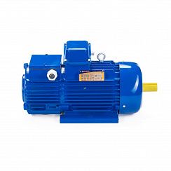 Электродвигатель 5МТН 225 L8 37/750 IM1004