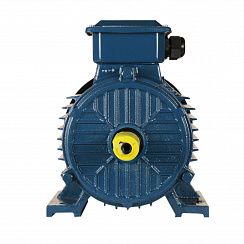 Электродвигатель 5АИ 100 L2 ET 5,5/3000 IM1081