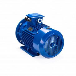 Электродвигатель ESQ 100 LB2-SDN- 4/3000 IMB35
