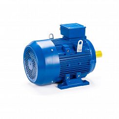 Электродвигатель ESQ 180 M2-SDN- 22/3000 IMB3