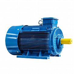 Электродвигатель 5АИ 355 S6 160/1000 IM1001