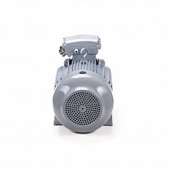 Электродвигатель ESQ PR 100 LA2-SDN-Б1-S12-IE2 3/3000 IMB3