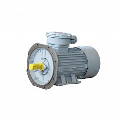 Электродвигатель АИМУР 200 L2 У2,5 380/660В, класс изоляции Н, PBExdI Mb, РТС (статор), подшипник SKF, 45/3000 IM9701