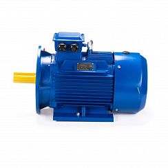 Электродвигатель ESQ 100 LB2-SDN- 4/3000 IMB35