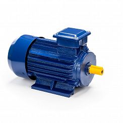 Электродвигатель 5АИ 63 А2 0,37/3000 IM1081