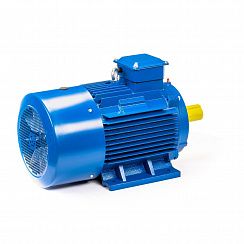 Электродвигатель 5АИ 200 L2 45/3000 IM1001