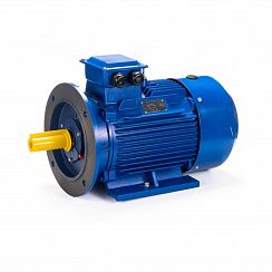Электродвигатель ESQ 100 LB2-SDN- 4/3000 IMB35