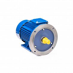 Электродвигатель 5АИ 100 L6 ED 2,2/1000 IM2081