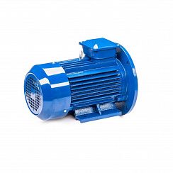 Электродвигатель 5АИ 112 МА6 3/1000 IM2081