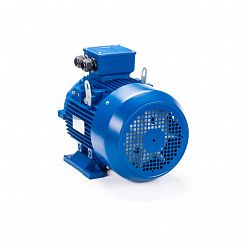 Электродвигатель ESQ 250 M4-SDN- 55/1500 IMB3