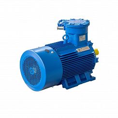 Электродвигатель АИМУ 200 L6 У1, 380/660В, 1ExdIIBT4 Gb, РТС (статор), 30/1000 IM1001