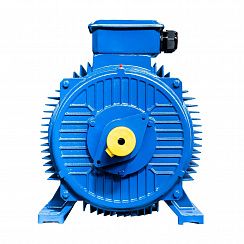 Электродвигатель 5АИ 355 М4 315/1500 IM1001