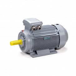 Электродвигатель ESQ PR 100 LA2-SDN-Б1-S12-IE2 3/3000 IMB3