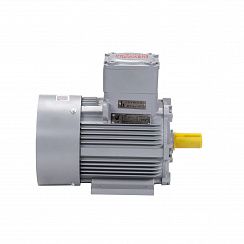 Электродвигатель АИМУ 90 L2 У1, 380В, 1ExdIIBT4 Gb, 3/3000 IM1081