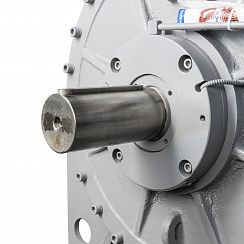 Электродвигатель ВАО7М 450 LB2 УХЛ1 РВЕхdI Mb 6000В IP54 400/3000 IM1001