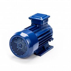 Электродвигатель 5АИ 63 А2 0,37/3000 IM1081