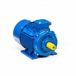 Электродвигатель 5АИ 180 М2 30/3000 IM1001