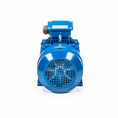 Электродвигатель 5АИ 100 S2 4/3000 IM1081