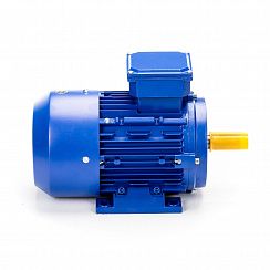 Электродвигатель 5АИ 56 В2 0,25/3000 IM1081